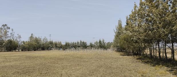 Kitengela, Acacia - One Acre Prime Land on Sale - thumbnail 2