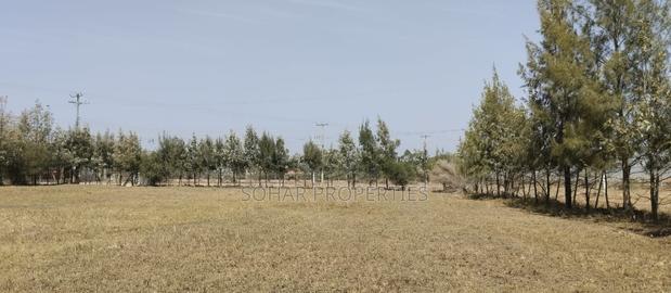 Kitengela, Acacia - One Acre Prime Land on Sale - thumbnail 3