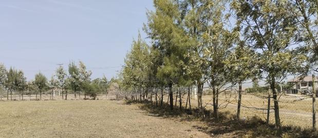 Kitengela, Acacia - One Acre Prime Land on Sale - thumbnail 5