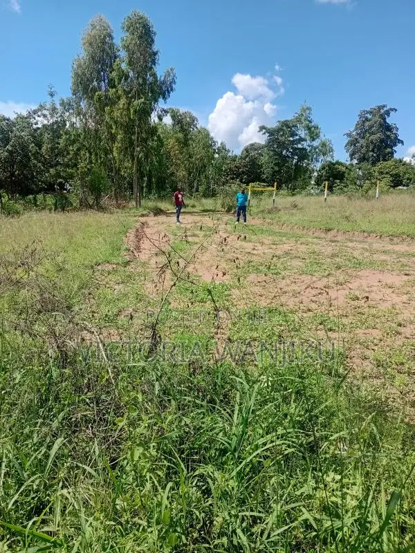 50*100 Mananja /Makuyu