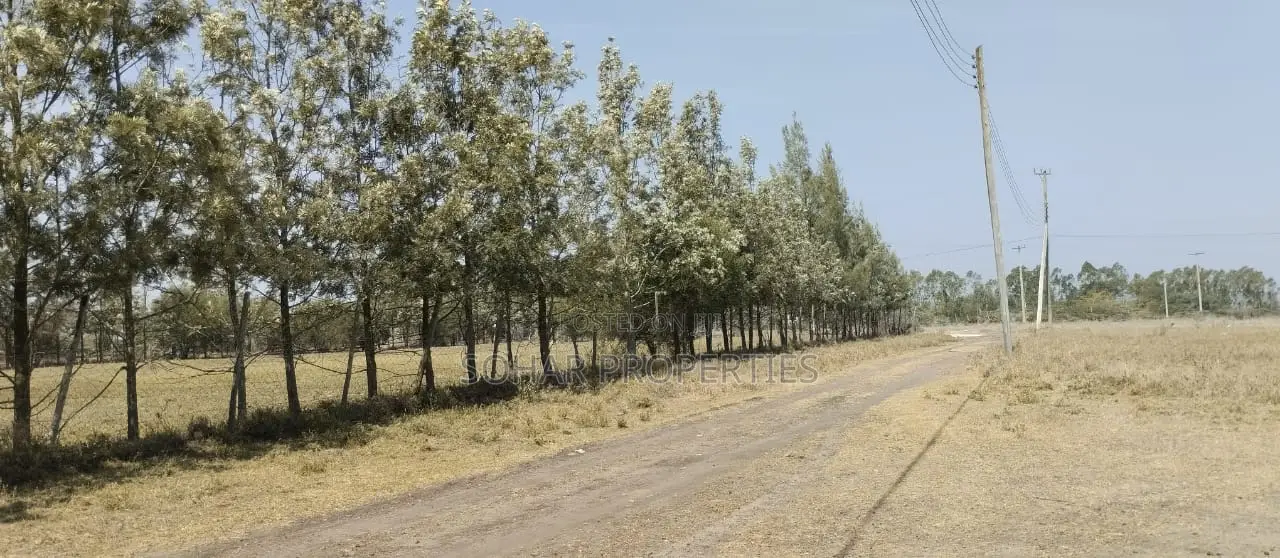 Kitengela, Masai Ostrich Farm