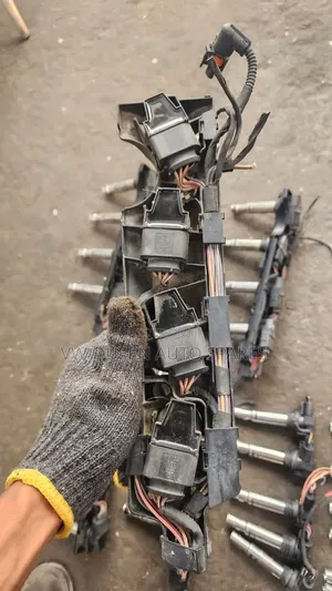 Igination Coils
