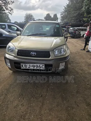 Toyota RAV4 2005 Brown