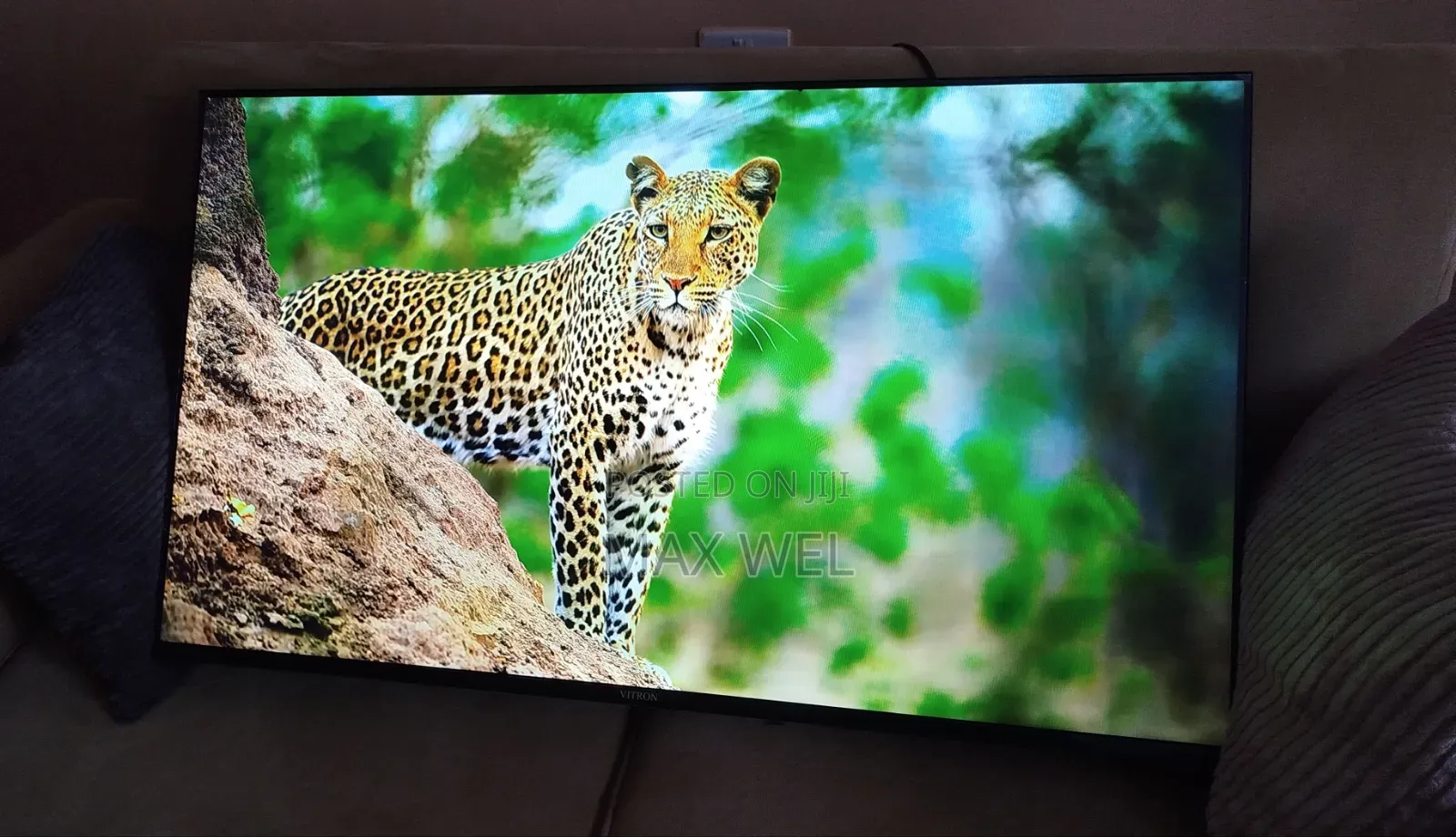 Vitron 43inch Smart Tv