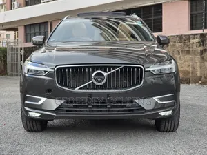 Volvo XC60 2020 Gray