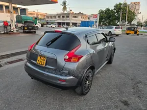 Nissan Juke 2011 Gray