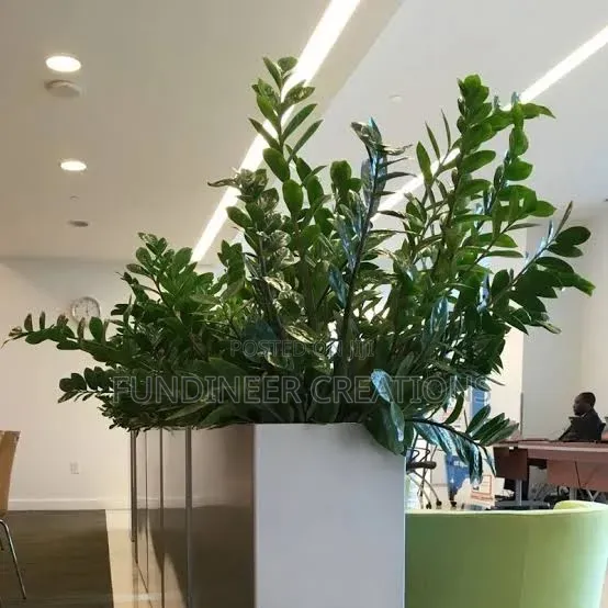Office Flower Planters
