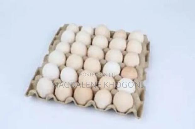 Kienyeji Eggs