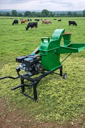 8hp Diesel Engine Powered Multipurpose Feed Chopper