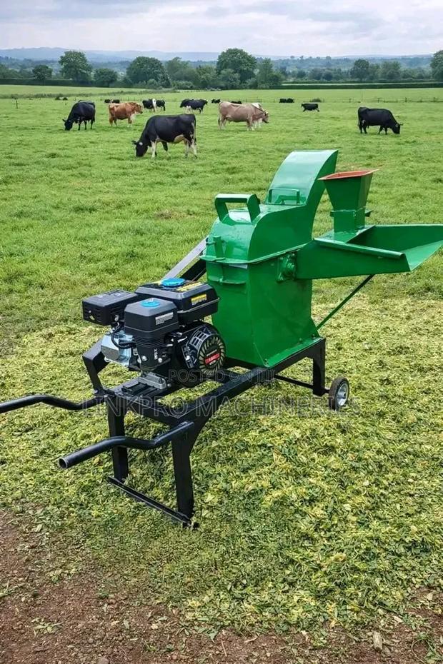 8hp Diesel Engine Powered Multipurpose Feed Chopper