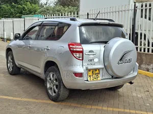 Toyota RAV4 2009 Silver