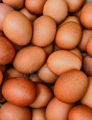 Lea Eggs for Sel