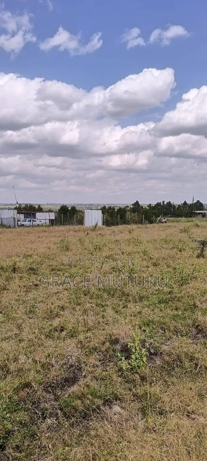 Prime Plots for Sale