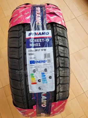 Dynamo 225/55r17