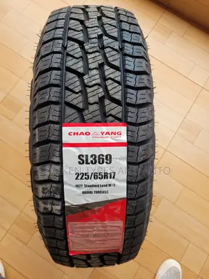 Chaoyang 225/65r17