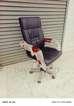 Executive Office Seat