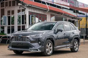 Toyota RAV4 Hybrid 2020 Gray