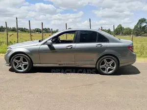 Mercedes-Benz C-Class 2009 Gray