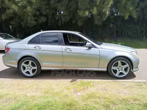 Mercedes-Benz C-Class 2009 Gray