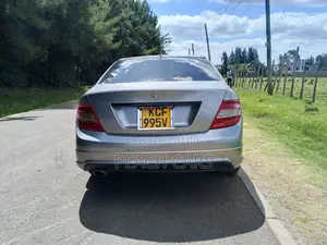 Mercedes-Benz C-Class 2009 Gray