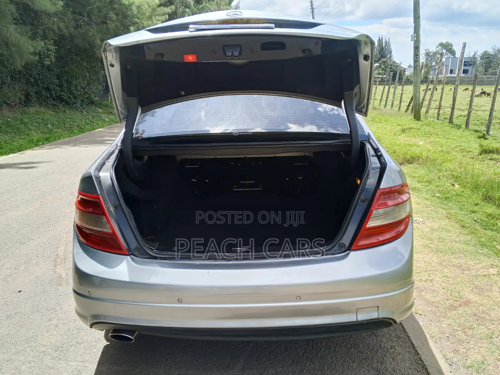Mercedes-Benz C-Class 2009 Gray