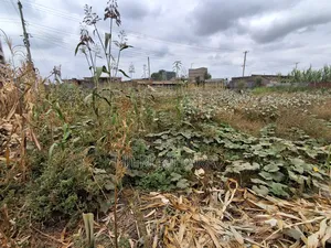 50 By 80 Prime Land In Mwihoko