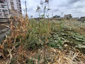 50 By 80 Prime Land In Mwihoko