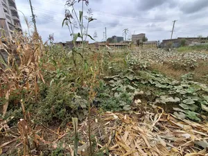 50 By 80 Prime Land In Mwihoko