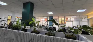 Office Partitioning