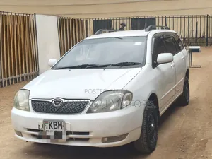 Toyota Corolla Fielder 2003 White