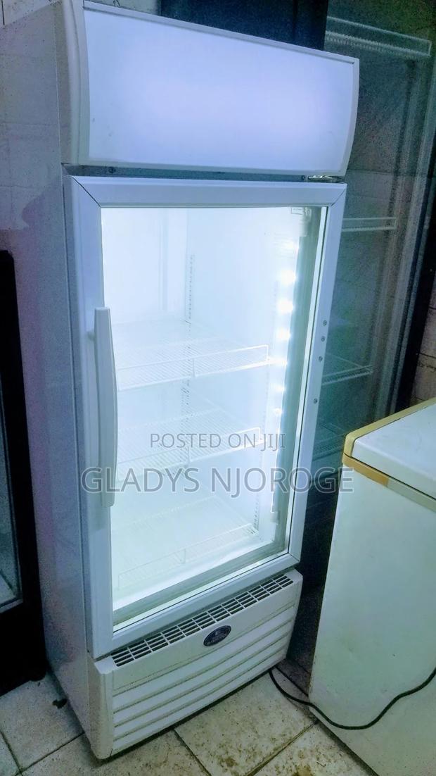 Intercool Fridge 250l