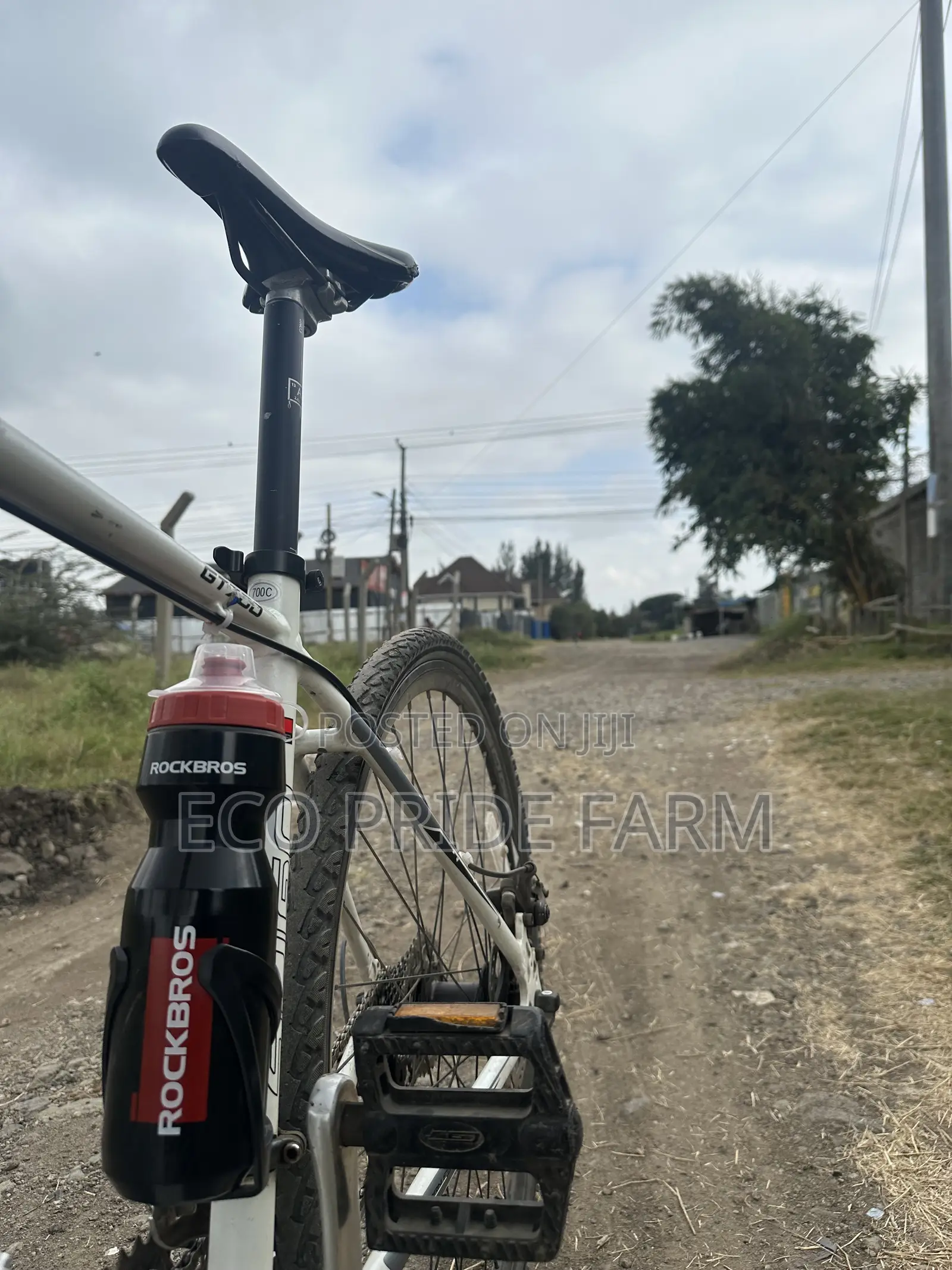 Gravel Bike