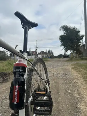 Gravel Bike