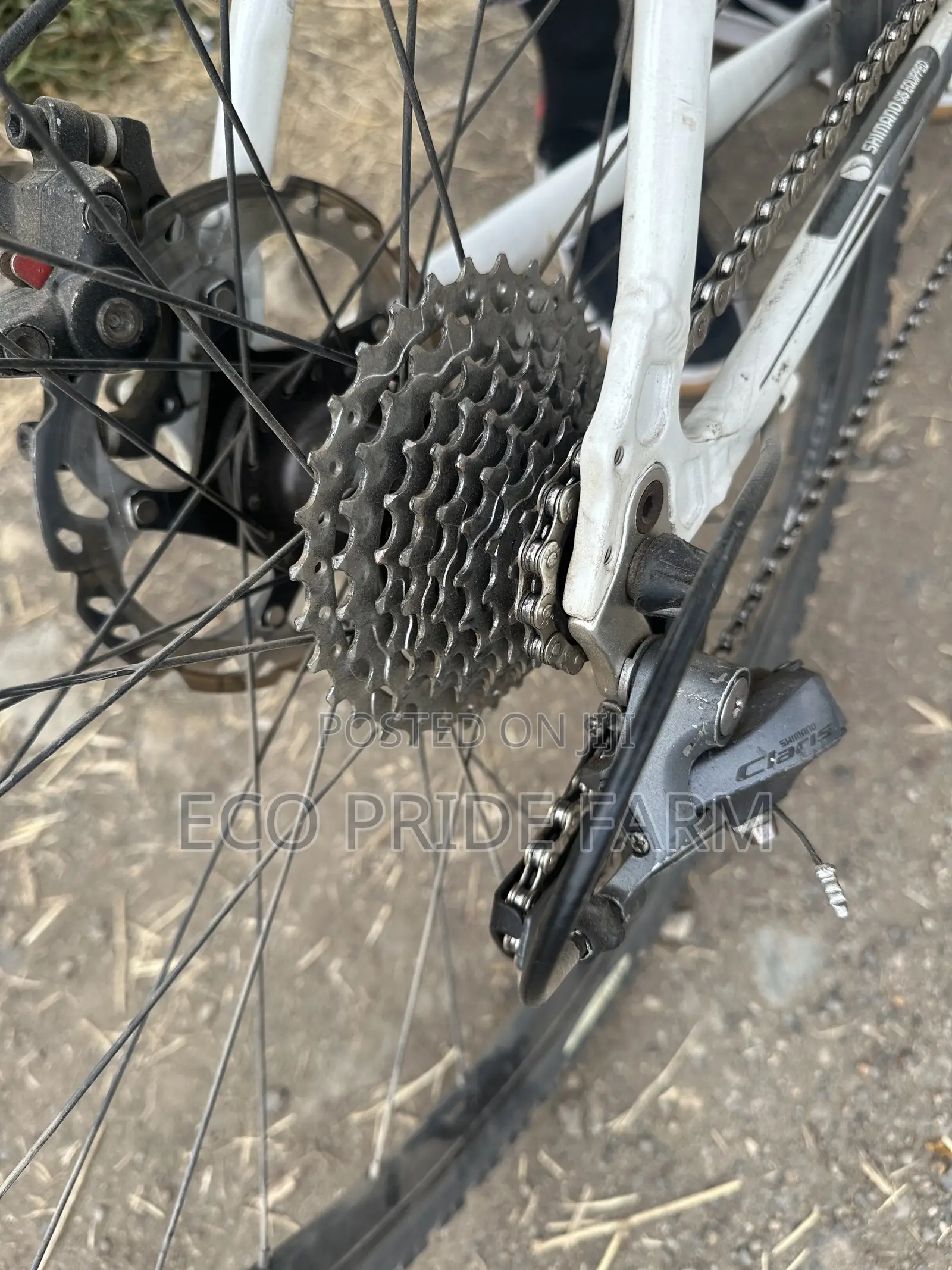 Gravel Bike