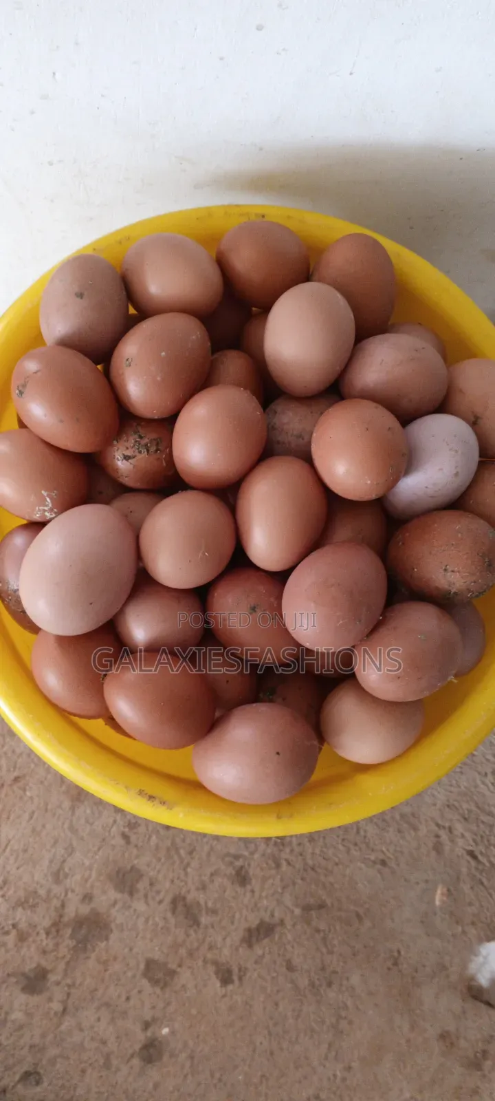 Fresh Eggs