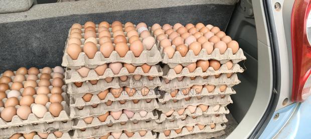 Fresh Eggs - thumbnail 2