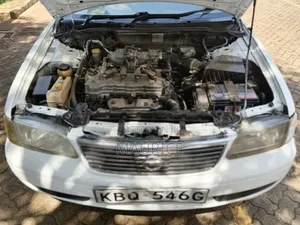 Nissan FB15 2004 White