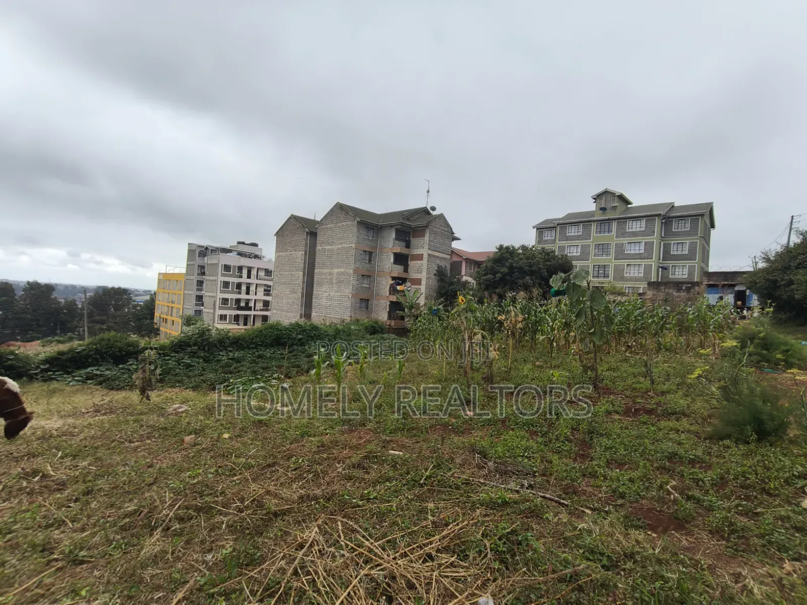 Commercial Eighth Acre Plot for Sale in Ngong CBD Touching Tarmac
