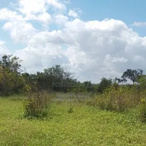1000 Acre for Sale in Malindi, Adu