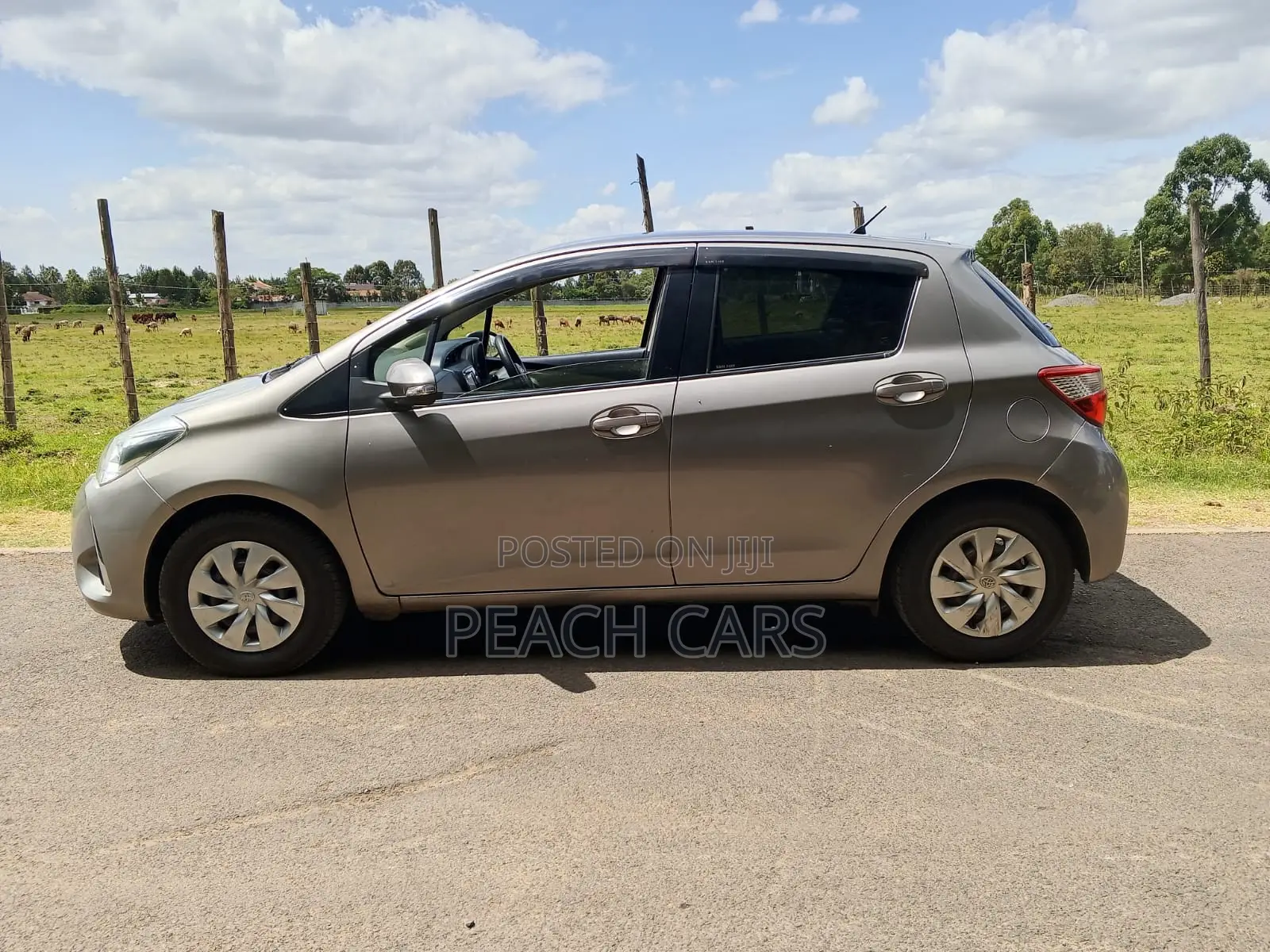 Toyota Vitz 2017 Silver