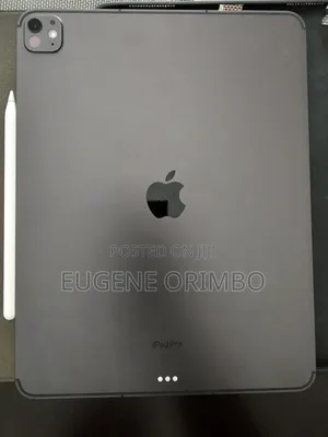 Apple iPad Pro 256 GB Gray