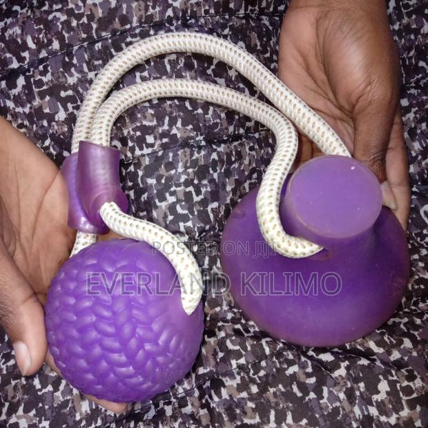 Dog Interactive Suction Cup Push Ball Toy