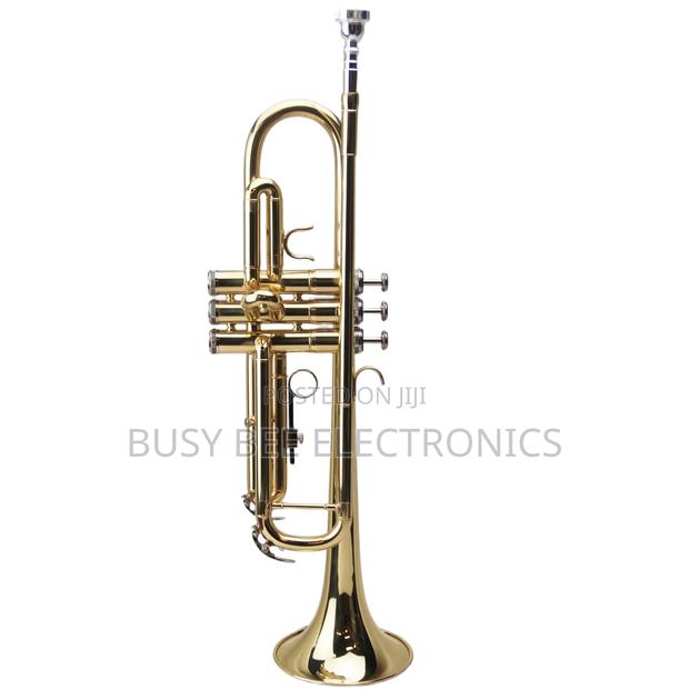 Premier Trumpet With Case Bag - thumbnail 2