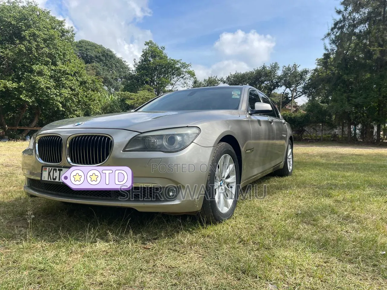 BMW 7 Series 730Li 2010 Brown