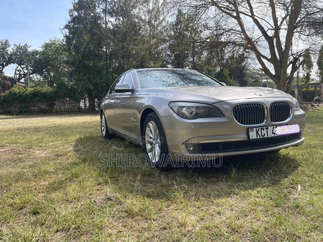 BMW 7 Series 730Li 2010 Brown