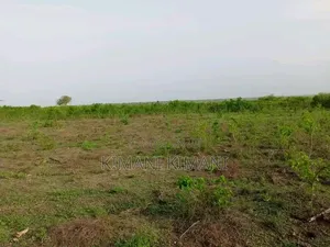 Anchor Land Solutions
