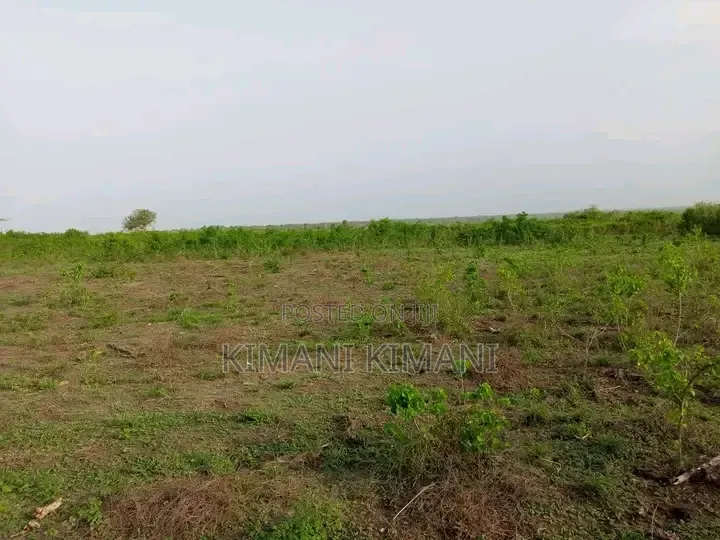 Anchor Land Solutions
