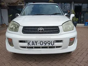 Toyota RAV4 2002 White