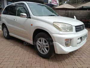 Toyota RAV4 2002 White