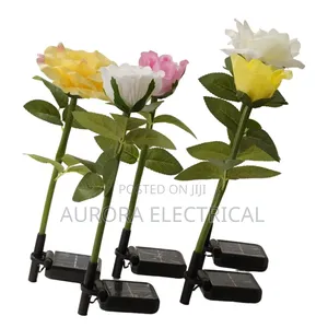 Solar Flowers Led Lights.